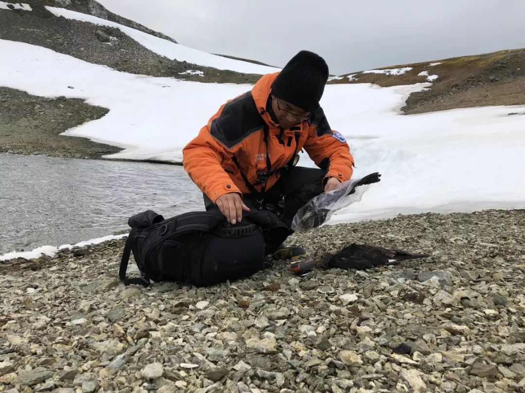 ¾ÅÖÝkuÓιÙÍø,ºþÄÏÒ°Éú¶¯Îï×·×Ù,ºþÄÏÎÀÐÇ×·×ÙÆ÷,ºþÄÏ×·×ÙÆ÷ ¾ÅÖÝkuÓιÙÍø,ºþÄÏÒ°Éú¶¯Îï×·×Ù,ºþÄÏÎÀÐÇ×·×ÙÆ÷,ºþÄÏ×·×ÙÆ÷