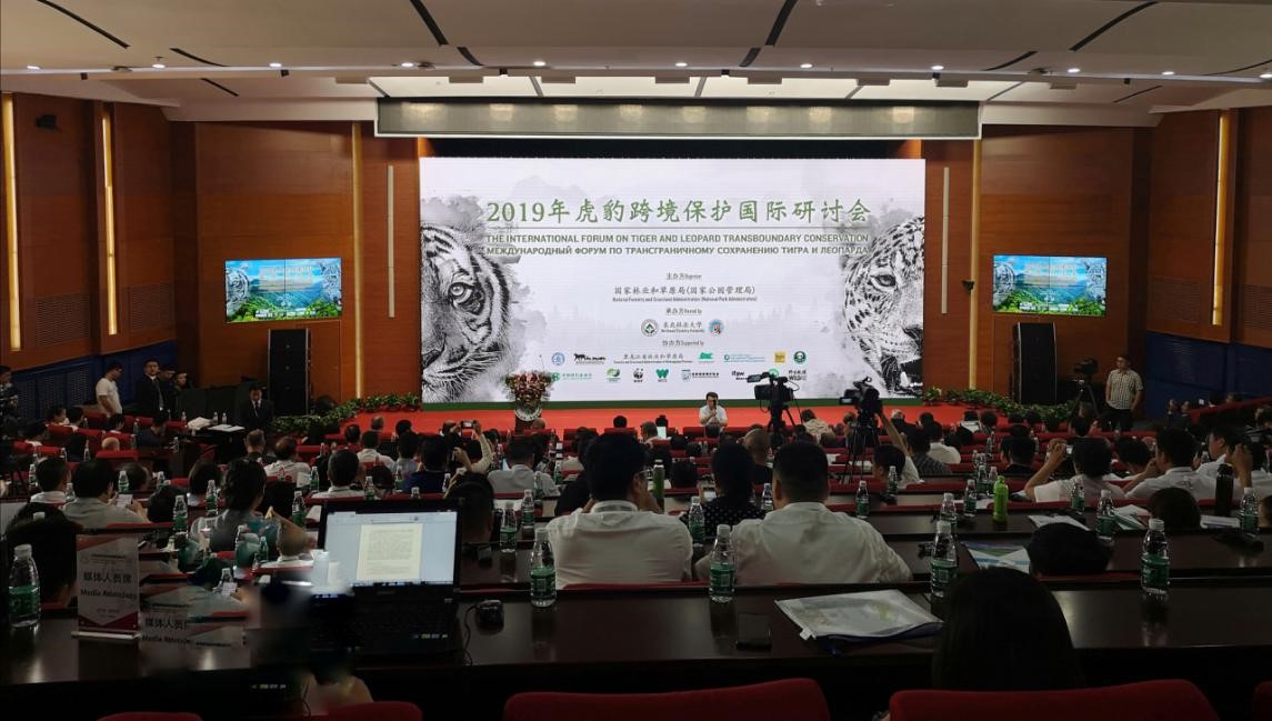 Ͳ,Ͳ,Ͳ,ʱ,,ͲǮ,Ͳ,Ͳ