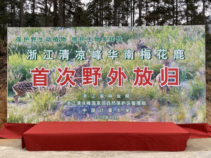 Ͳ,Ͳ,Ͳ,ʱ,,ͲǮ,Ͳ,Ͳ