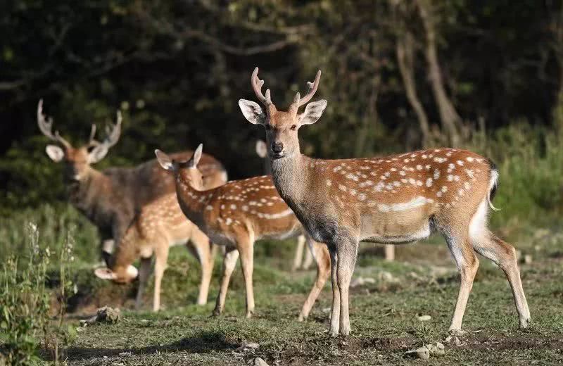 Ͳ,Ͳ,Ͳ,ʱ,,ͲǮ,Ͳ,Ͳ