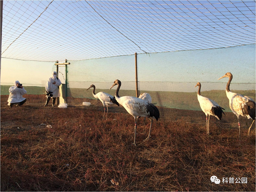 ¾ÅÖÝkuÓιÙÍø,ºþÄÏÒ°Éú¶¯Îï×·×Ù,ºþÄÏÎÀÐÇ×·×ÙÆ÷,ºþÄÏ×·×ÙÆ÷ ¾ÅÖÝkuÓιÙÍø,ºþÄÏÒ°Éú¶¯Îï×·×Ù,ºþÄÏÎÀÐÇ×·×ÙÆ÷,ºþÄÏ×·×ÙÆ÷