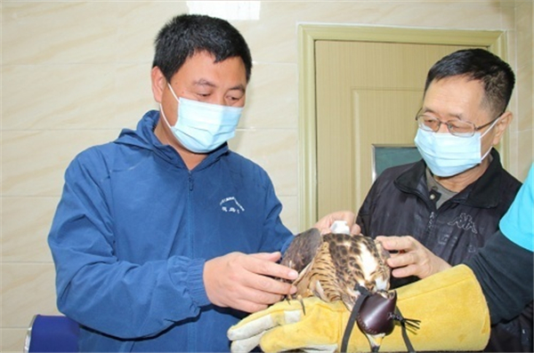 ¾ÅÖÝkuÓιÙÍø,ºþÄÏÒ°Éú¶¯Îï×·×Ù,ºþÄÏÎÀÐÇ×·×ÙÆ÷,ºþÄÏ×·×ÙÆ÷ ¾ÅÖÝkuÓιÙÍø,ºþÄÏÒ°Éú¶¯Îï×·×Ù,ºþÄÏÎÀÐÇ×·×ÙÆ÷,ºþÄÏ×·×ÙÆ÷