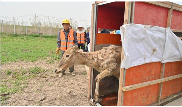 ¾ÅÖÝkuÓιÙÍø,ºþÄÏÒ°Éú¶¯Îï×·×Ù,ºþÄÏÎÀÐÇ×·×ÙÆ÷,ºþÄÏ×·×ÙÆ÷ ¾ÅÖÝkuÓιÙÍø,ºþÄÏÒ°Éú¶¯Îï×·×Ù,ºþÄÏÎÀÐÇ×·×ÙÆ÷,ºþÄÏ×·×ÙÆ÷