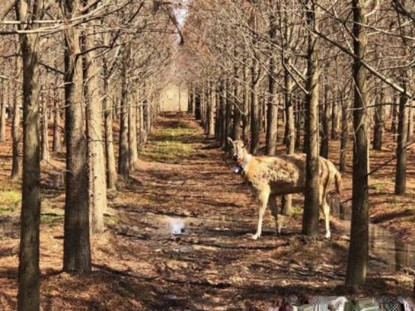 ¾ÅÖÝkuÓιÙÍø,ºþÄÏÒ°Éú¶¯Îï×·×Ù,ºþÄÏÎÀÐÇ×·×ÙÆ÷,ºþÄÏ×·×ÙÆ÷ ¾ÅÖÝkuÓιÙÍø,ºþÄÏÒ°Éú¶¯Îï×·×Ù,ºþÄÏÎÀÐÇ×·×ÙÆ÷,ºþÄÏ×·×ÙÆ÷