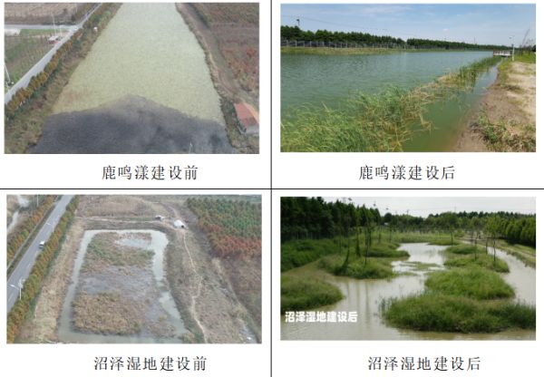 ¾ÅÖÝkuÓιÙÍø,ºþÄÏÒ°Éú¶¯Îï×·×Ù,ºþÄÏÎÀÐÇ×·×ÙÆ÷,ºþÄÏ×·×ÙÆ÷ ¾ÅÖÝkuÓιÙÍø,ºþÄÏÒ°Éú¶¯Îï×·×Ù,ºþÄÏÎÀÐÇ×·×ÙÆ÷,ºþÄÏ×·×ÙÆ÷