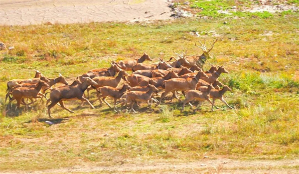 ¾ÅÖÝkuÓιÙÍø,ºþÄÏÒ°Éú¶¯Îï×·×Ù,ºþÄÏÎÀÐÇ×·×ÙÆ÷,ºþÄÏ×·×ÙÆ÷ ¾ÅÖÝkuÓιÙÍø,ºþÄÏÒ°Éú¶¯Îï×·×Ù,ºþÄÏÎÀÐÇ×·×ÙÆ÷,ºþÄÏ×·×ÙÆ÷