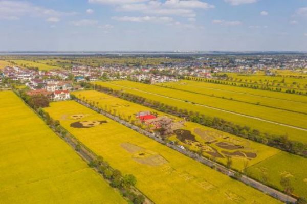 ¾ÅÖÝkuÓιÙÍø,ºþÄÏÒ°Éú¶¯Îï×·×Ù,ºþÄÏÎÀÐÇ×·×ÙÆ÷,ºþÄÏ×·×ÙÆ÷ ¾ÅÖÝkuÓιÙÍø,ºþÄÏÒ°Éú¶¯Îï×·×Ù,ºþÄÏÎÀÐÇ×·×ÙÆ÷,ºþÄÏ×·×ÙÆ÷