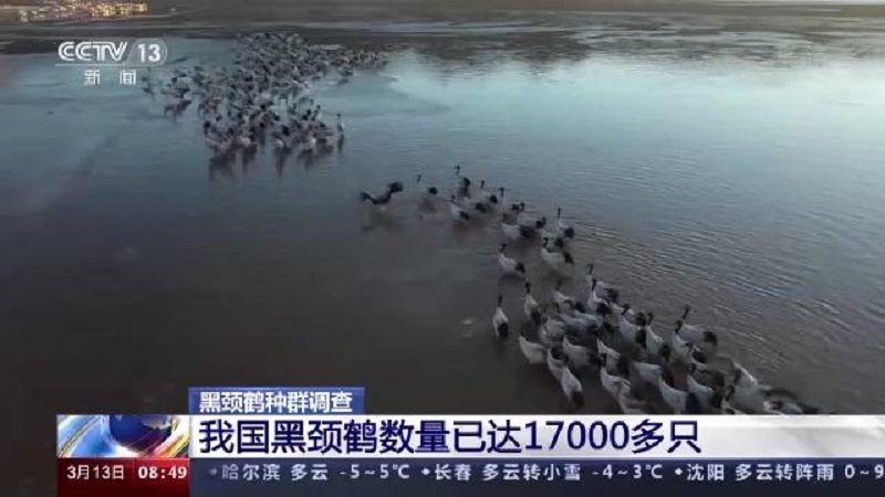 ¾ÅÖÝkuÓιÙÍø,ºþÄÏÒ°Éú¶¯Îï×·×Ù,ºþÄÏÎÀÐÇ×·×ÙÆ÷,ºþÄÏ×·×ÙÆ÷ ¾ÅÖÝkuÓιÙÍø,ºþÄÏÒ°Éú¶¯Îï×·×Ù,ºþÄÏÎÀÐÇ×·×ÙÆ÷,ºþÄÏ×·×ÙÆ÷