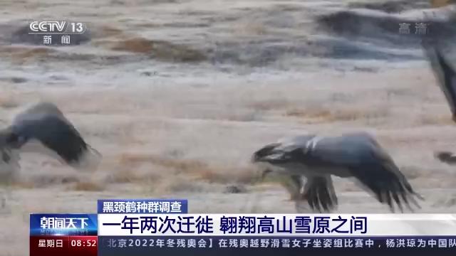 ¾ÅÖÝkuÓιÙÍø,ºþÄÏÒ°Éú¶¯Îï×·×Ù,ºþÄÏÎÀÐÇ×·×ÙÆ÷,ºþÄÏ×·×ÙÆ÷ ¾ÅÖÝkuÓιÙÍø,ºþÄÏÒ°Éú¶¯Îï×·×Ù,ºþÄÏÎÀÐÇ×·×ÙÆ÷,ºþÄÏ×·×ÙÆ÷