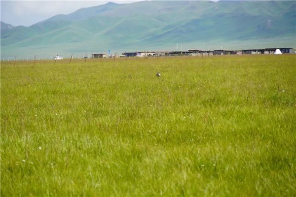 ¾ÅÖÝkuÓιÙÍø,ºþÄÏÒ°Éú¶¯Îï×·×Ù,ºþÄÏÎÀÐÇ×·×ÙÆ÷,ºþÄÏ×·×ÙÆ÷ ¾ÅÖÝkuÓιÙÍø,ºþÄÏÒ°Éú¶¯Îï×·×Ù,ºþÄÏÎÀÐÇ×·×ÙÆ÷,ºþÄÏ×·×ÙÆ÷