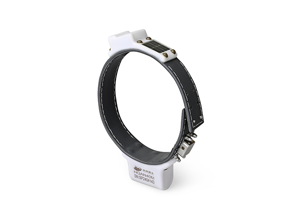 HQAN40MԶ䣩300-600g