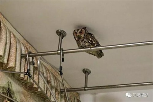 ¾ÅÖÝkuÓιÙÍø,ºþÄÏÒ°Éú¶¯Îï×·×Ù,ºþÄÏÎÀÐÇ×·×ÙÆ÷,ºþÄÏ×·×ÙÆ÷ ¾ÅÖÝkuÓιÙÍø,ºþÄÏÒ°Éú¶¯Îï×·×Ù,ºþÄÏÎÀÐÇ×·×ÙÆ÷,ºþÄÏ×·×ÙÆ÷