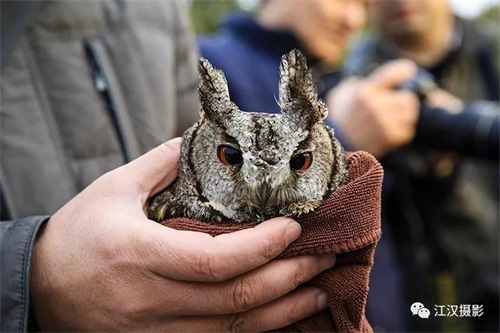 ¾ÅÖÝkuÓιÙÍø,ºþÄÏÒ°Éú¶¯Îï×·×Ù,ºþÄÏÎÀÐÇ×·×ÙÆ÷,ºþÄÏ×·×ÙÆ÷ ¾ÅÖÝkuÓιÙÍø,ºþÄÏÒ°Éú¶¯Îï×·×Ù,ºþÄÏÎÀÐÇ×·×ÙÆ÷,ºþÄÏ×·×ÙÆ÷