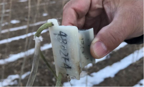 ¾ÅÖÝkuÓιÙÍø,ºþÄÏÒ°Éú¶¯Îï×·×Ù,ºþÄÏÎÀÐÇ×·×ÙÆ÷,ºþÄÏ×·×ÙÆ÷ ¾ÅÖÝkuÓιÙÍø,ºþÄÏÒ°Éú¶¯Îï×·×Ù,ºþÄÏÎÀÐÇ×·×ÙÆ÷,ºþÄÏ×·×ÙÆ÷