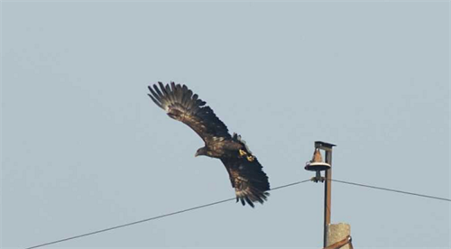 ¾ÅÖÝkuÓιÙÍø,ºþÄÏÒ°Éú¶¯Îï×·×Ù,ºþÄÏÎÀÐÇ×·×ÙÆ÷,ºþÄÏ×·×ÙÆ÷ ¾ÅÖÝkuÓιÙÍø,ºþÄÏÒ°Éú¶¯Îï×·×Ù,ºþÄÏÎÀÐÇ×·×ÙÆ÷,ºþÄÏ×·×ÙÆ÷