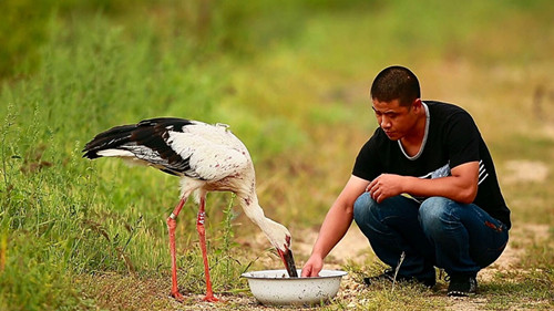 ¾ÅÖÝkuÓιÙÍø,ºþÄÏÒ°Éú¶¯Îï×·×Ù,ºþÄÏÎÀÐÇ×·×ÙÆ÷,ºþÄÏ×·×ÙÆ÷ ¾ÅÖÝkuÓιÙÍø,ºþÄÏÒ°Éú¶¯Îï×·×Ù,ºþÄÏÎÀÐÇ×·×ÙÆ÷,ºþÄÏ×·×ÙÆ÷