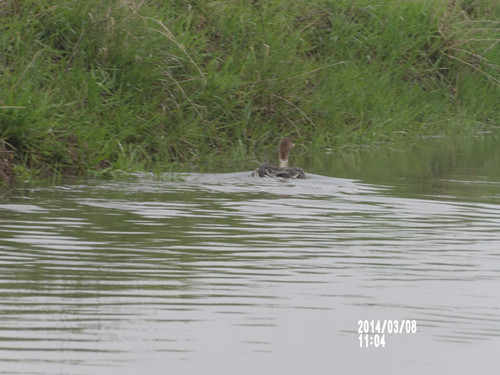 ¾ÅÖÝkuÓιÙÍø,ºþÄÏÒ°Éú¶¯Îï×·×Ù,ºþÄÏÎÀÐÇ×·×ÙÆ÷,ºþÄÏ×·×ÙÆ÷ ¾ÅÖÝkuÓιÙÍø,ºþÄÏÒ°Éú¶¯Îï×·×Ù,ºþÄÏÎÀÐÇ×·×ÙÆ÷,ºþÄÏ×·×ÙÆ÷