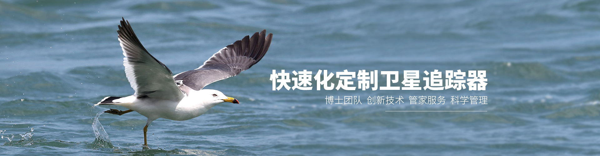 ¾ÅÖÝkuÓιÙÍø_ºþÄÏÒ°Éú¶¯Îï×·×Ù|ºþÄÏÎÀÐÇ×·×ÙÆ÷ ¾ÅÖÝkuÓιÙÍø_ºþÄÏÒ°Éú¶¯Îï×·×Ù|ºþÄÏÎÀÐÇ×·×ÙÆ÷