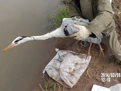 九州ku游官网,湖南野生动物追踪,湖南卫星追踪器,湖南追踪器 九州ku游官网,湖南野生动物追踪,湖南卫星追踪器,湖南追踪器