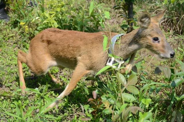 Ͳ,Ͳ,Ͳ,ʱ,,ͲǮ,Ͳ,Ͳ