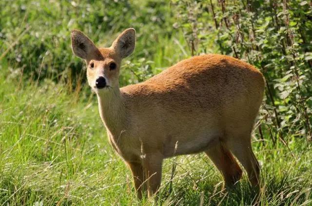 Ͳ,Ͳ,Ͳ,ʱ,,ͲǮ,Ͳ,Ͳ