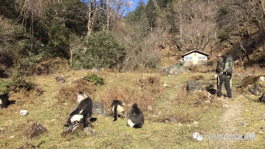 Ͳ,Ͳ,Ͳ,ʱ,,ͲǮ,Ͳ,Ͳ