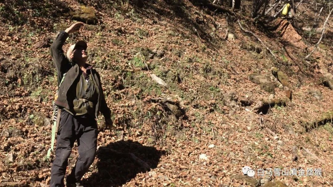 Ͳ,Ͳ,Ͳ,ʱ,,ͲǮ,Ͳ,Ͳ