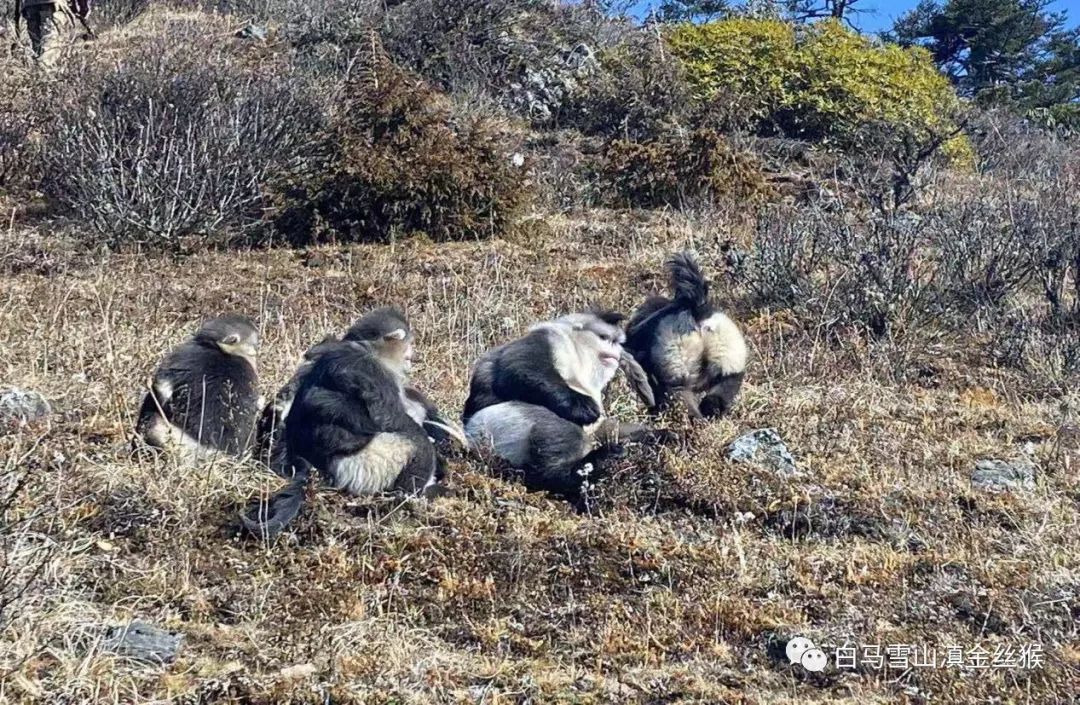 Ͳ,Ͳ,Ͳ,ʱ,,ͲǮ,Ͳ,Ͳ