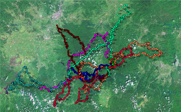 ¾ÅÖÝkuÓιÙÍø,ºþÄÏÒ°Éú¶¯Îï×·×Ù,ºþÄÏÎÀÐÇ×·×ÙÆ÷,ºþÄÏ×·×ÙÆ÷ ¾ÅÖÝkuÓιÙÍø,ºþÄÏÒ°Éú¶¯Îï×·×Ù,ºþÄÏÎÀÐÇ×·×ÙÆ÷,ºþÄÏ×·×ÙÆ÷