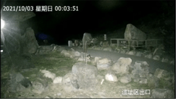 ¾ÅÖÝkuÓιÙÍø,ºþÄÏÒ°Éú¶¯Îï×·×Ù,ºþÄÏÎÀÐÇ×·×ÙÆ÷,ºþÄÏ×·×ÙÆ÷ ¾ÅÖÝkuÓιÙÍø,ºþÄÏÒ°Éú¶¯Îï×·×Ù,ºþÄÏÎÀÐÇ×·×ÙÆ÷,ºþÄÏ×·×ÙÆ÷